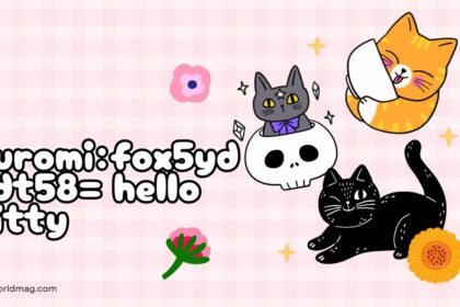 Kuromi:fox5ydxdt58= hello kitty- Epicworldmag