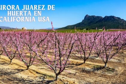 Aurora Juarez De Huerta en California USA