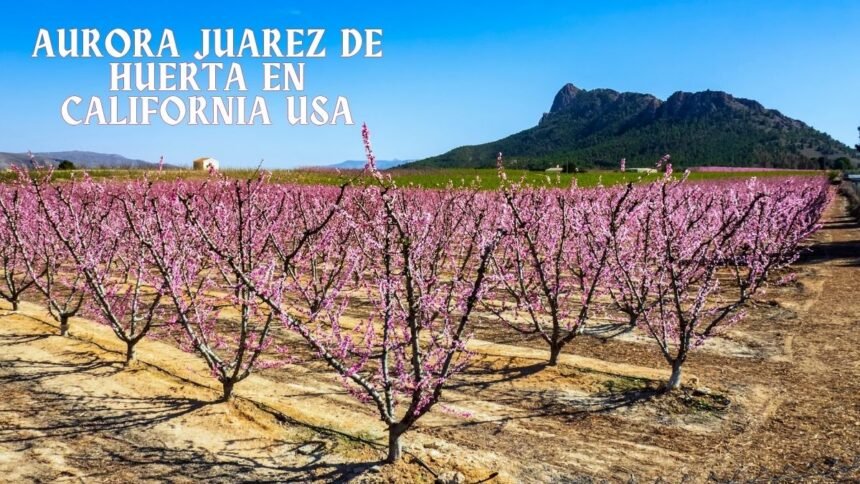 Aurora Juarez De Huerta en California USA